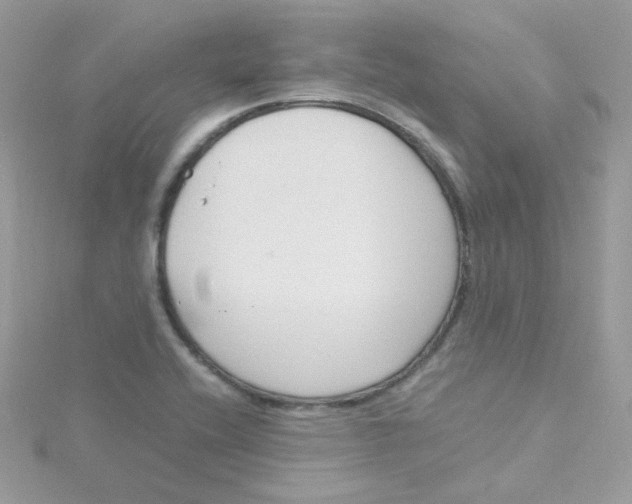 X0000115481416200911271319