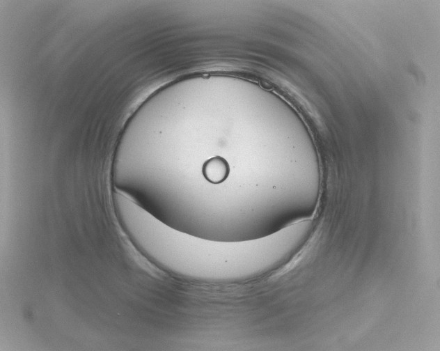 X0000115481417200911271319