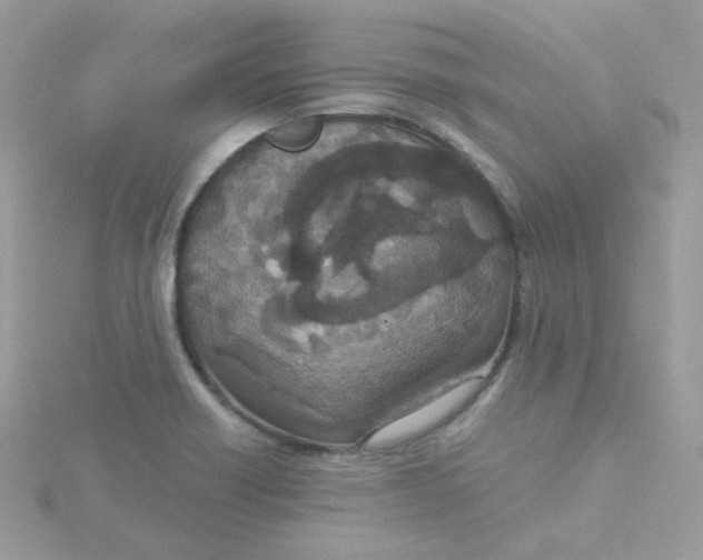 X0000115481418200911271319