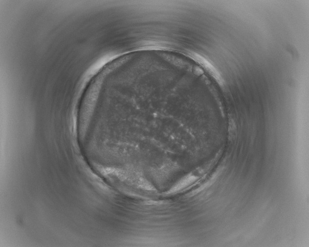 X0000115481419200911271319