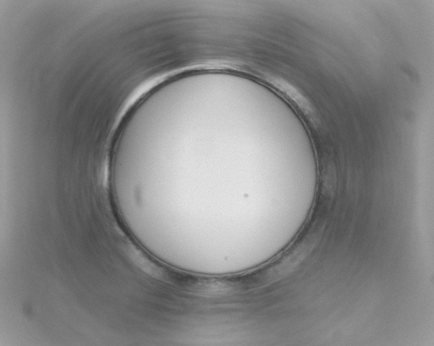 X0000115481420200911271319