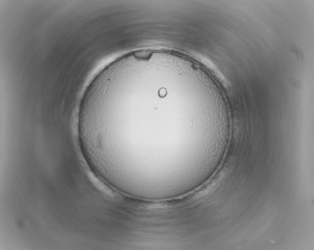 X0000115481421200911271319