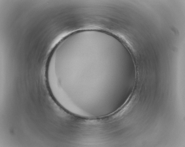 X0000115481422200911271319