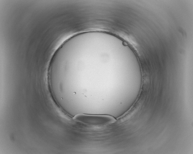 X0000115481423200911271319