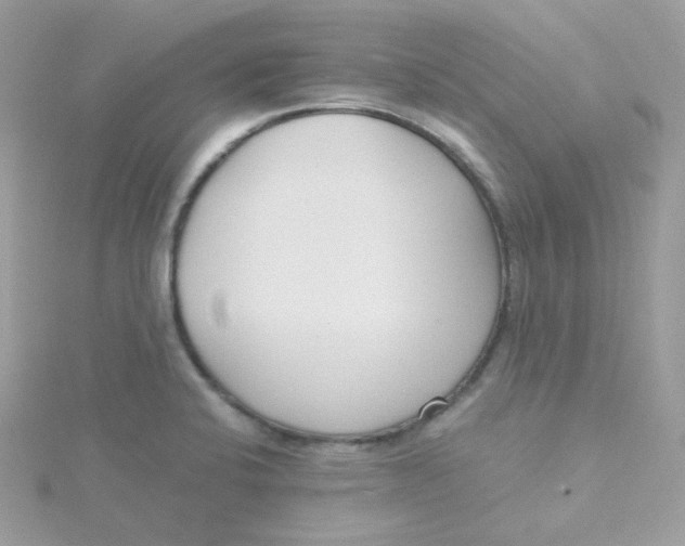 X0000115481424200911271319