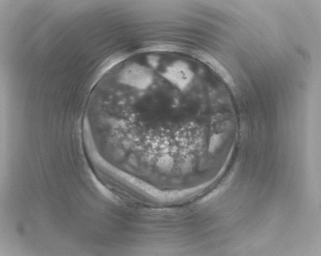 X0000115481425200911271319