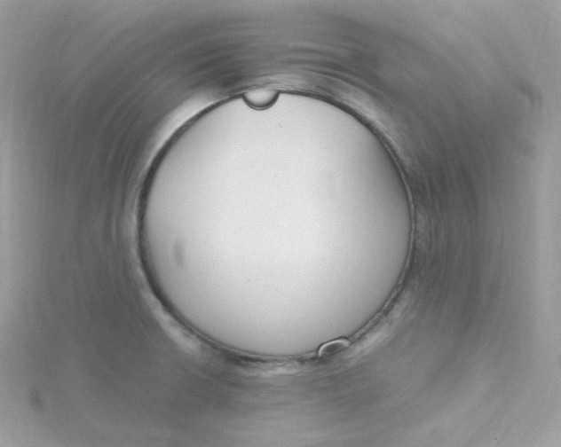 X0000115481426200911271319