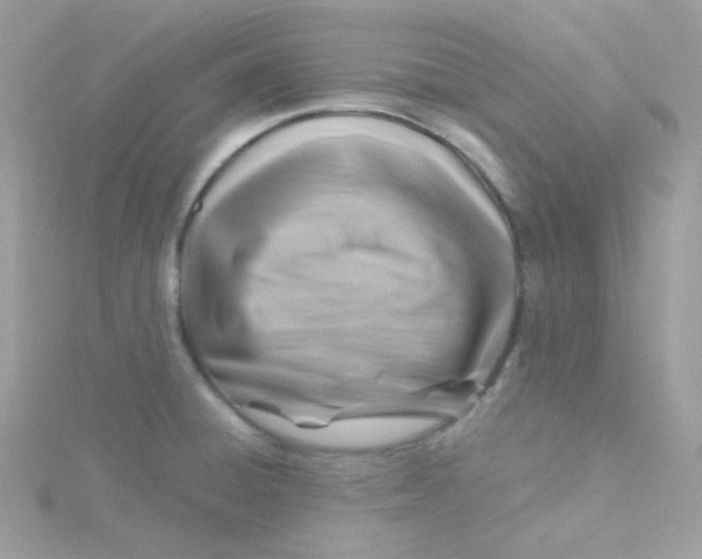 X0000115481428200911271319