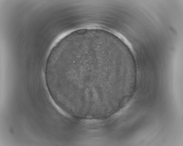 X0000115481429200911271319