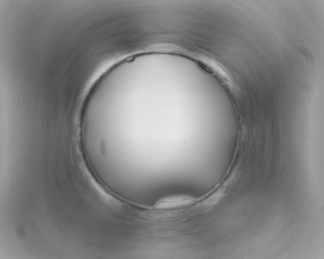 X0000115481430200911271319