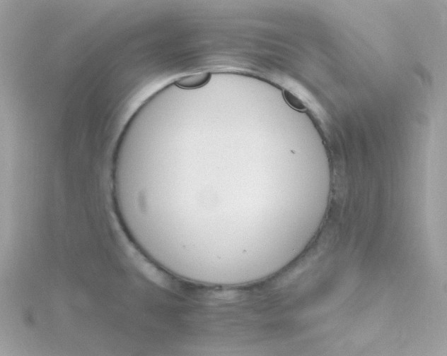 X0000115481431200911271319