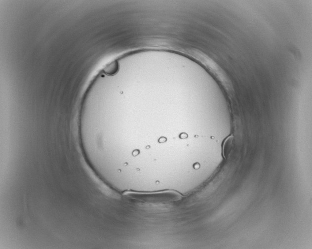 X0000115481432200911271319