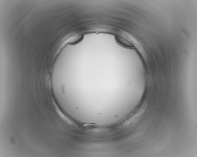 X0000115481433200911271319