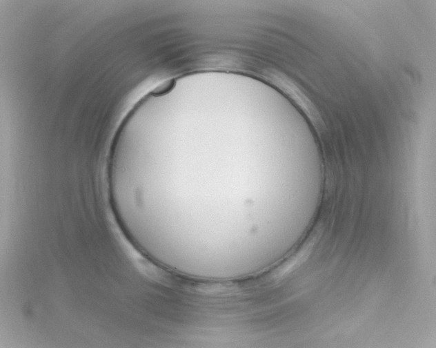 X0000115481434200911271319