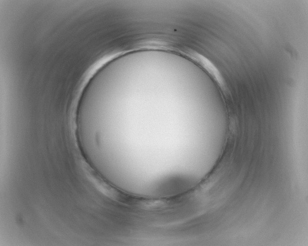 X0000115481435200911271319