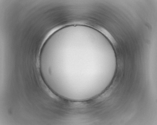 X0000115481436200911271319