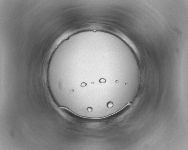 X0000115481437200911271319