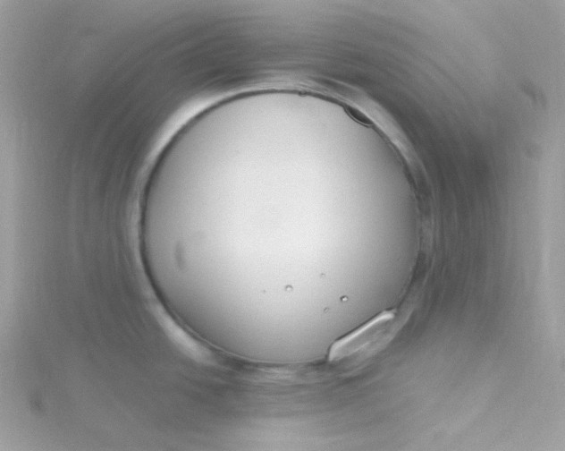 X0000115481438200911271319