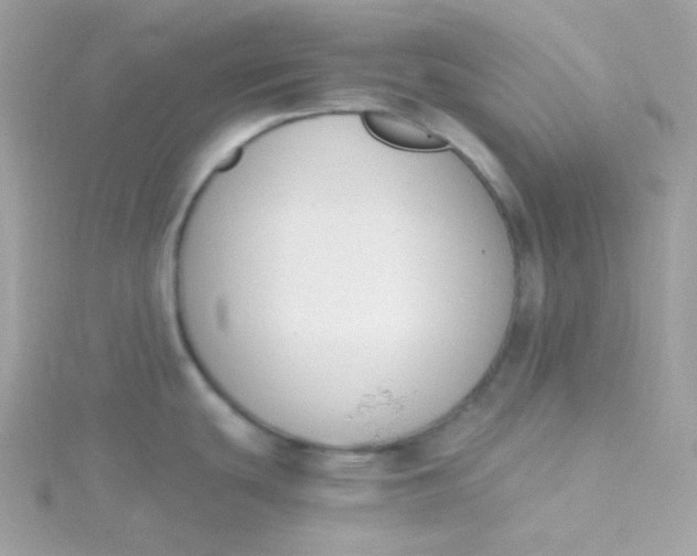 X0000115481439200911271319