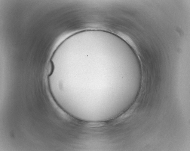 X0000115481440200911271319