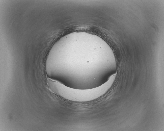 X0000115481441200911271319