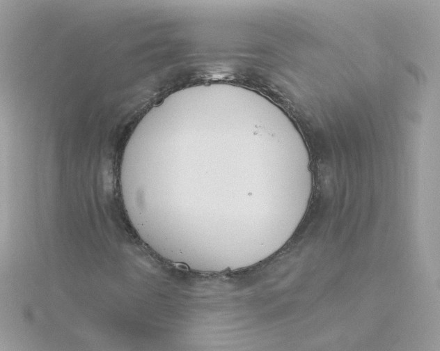 X0000115481442200911271319