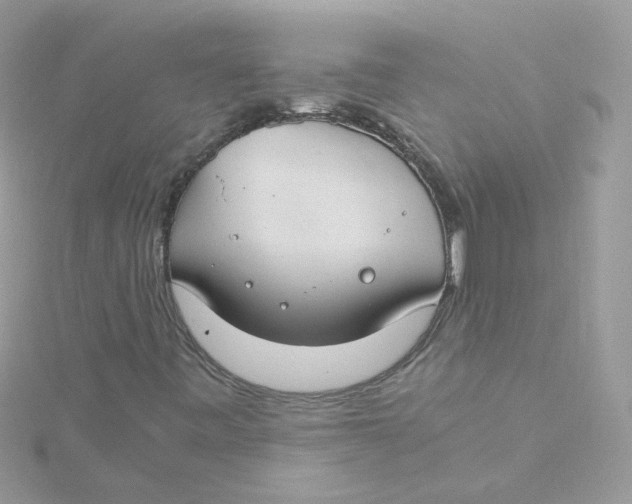 X0000115481443200911271319