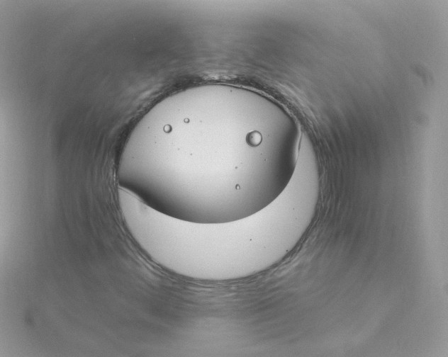 X0000115481444200911271319