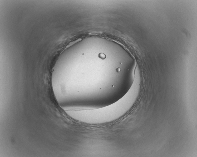 X0000115481445200911271319