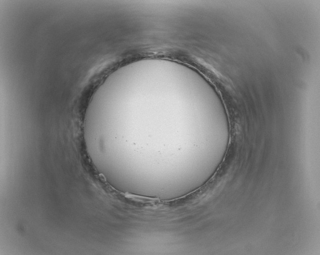 X0000115481447200911271318