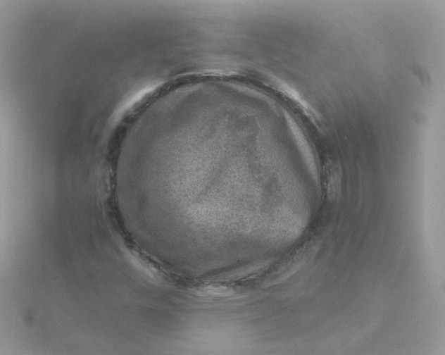 X0000115481448200911271318