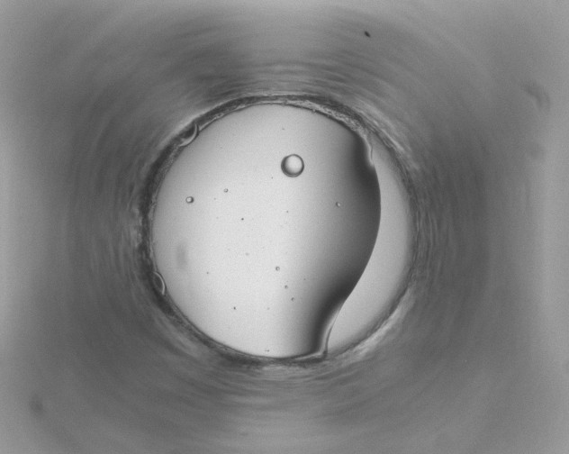 X0000115481449200911271318