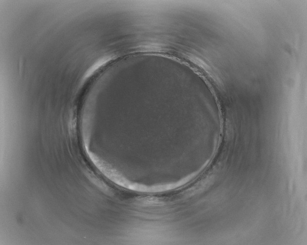 X0000115481450200911271318