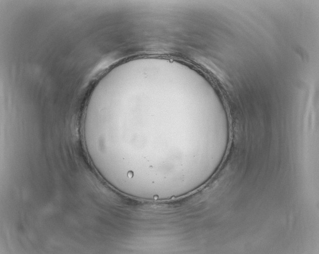 X0000115481451200911271318