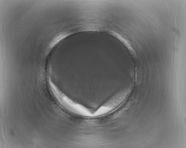 X0000115481453200911271318