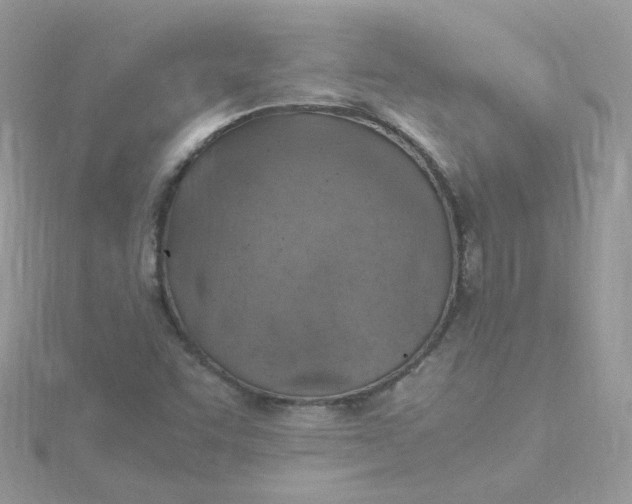 X0000115481455200911271318