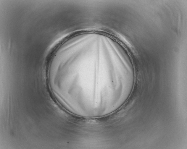 X0000115481456200911271318