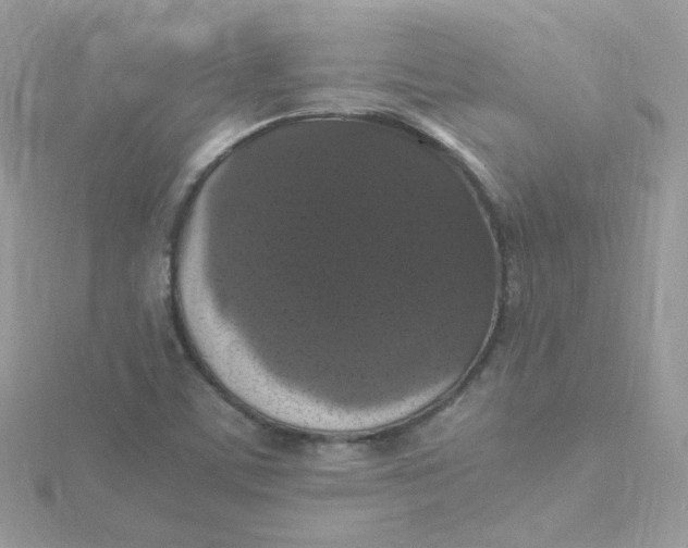 X0000115481459200911271318