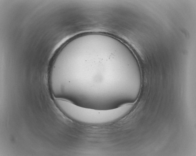 X0000115481460200911271318