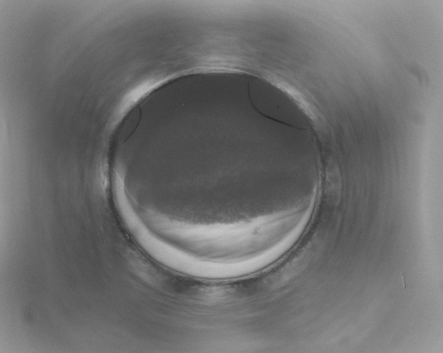 X0000115481461200911271318