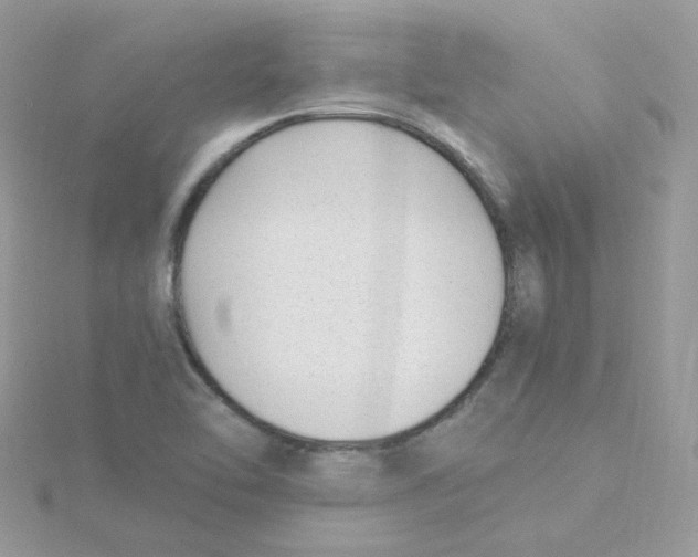 X0000115481462200911271318