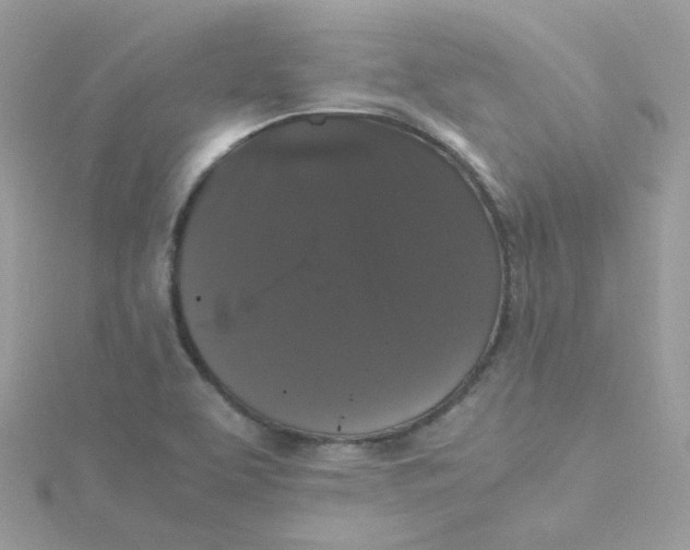 X0000115481463200911271318