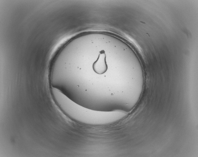 X0000115481464200911271318