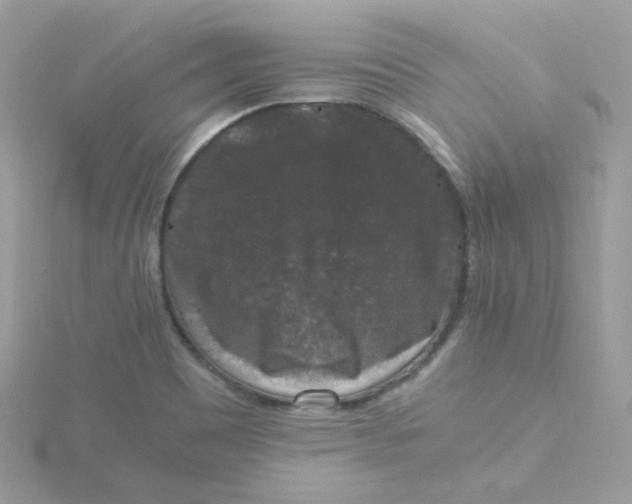 X0000115481465200911271318