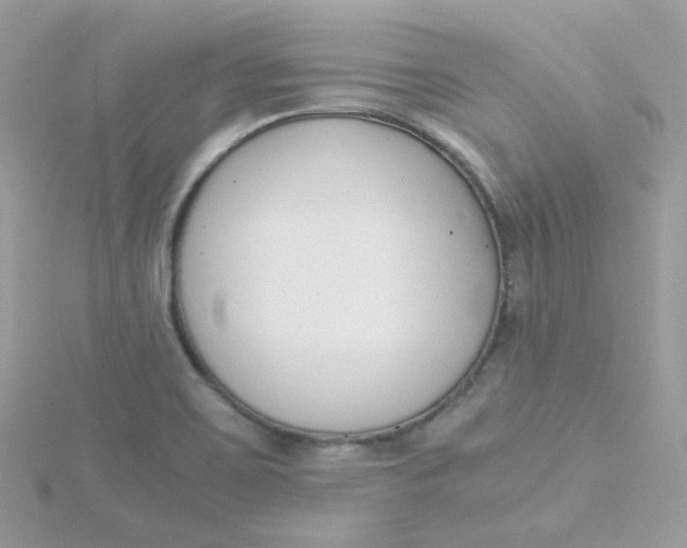 X0000115481467200911271318