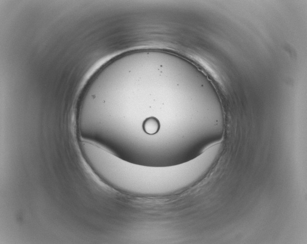 X0000115481468200911271318