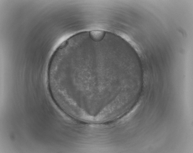 X0000115481469200911271318