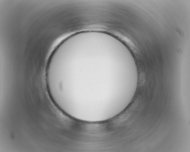 X0000115481470200911271318