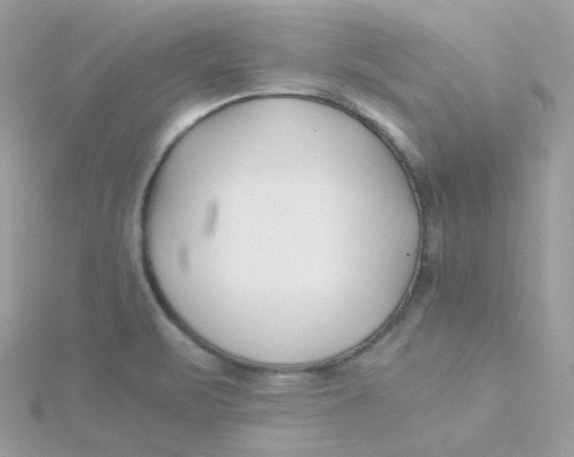 X0000115481471200911271318