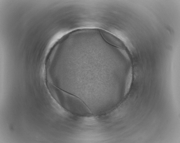 X0000115481472200911271318